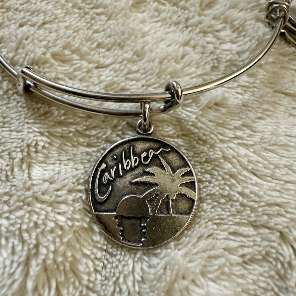 Alex & Ani Caribbean Bangle Adjustable Bangle Bracelet - Picture 2 of 3